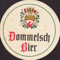 Beer coaster dommelsche-22-small