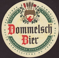 Beer coaster dommelsche-37-small