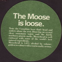 Beer coaster moosehead-24-zadek-small