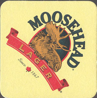 Beer coaster moosehead-5