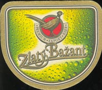 Pivní tácek zlaty-bazant-6